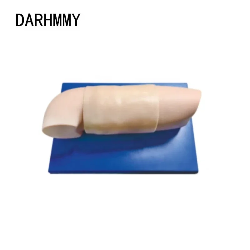 Darhmmy Advanced Subdermal Implant Contraceptive Exercise Arm Model