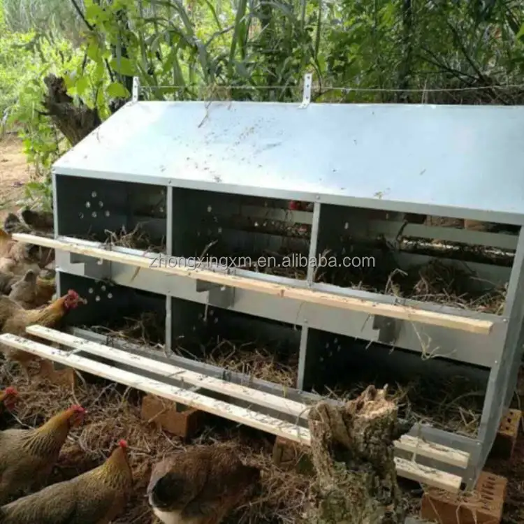 Layer Chicken Nest Box 12 Holes Manual Chicken Nest Box For Breeder Farm Buy Layer Chicken