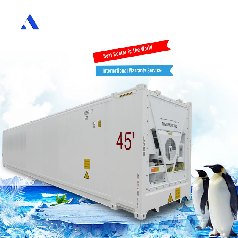 45ft HC Refrigerated Reefer Container 380/460V Low Temperature Stainless Steel and Aluminium for Vegetable & Fruit Storage