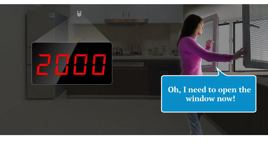 LCD display wireless Gas Alarm Sensor With temperature function Combustible Gas Leak Detector