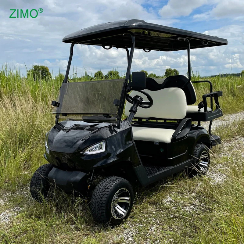Хит продаж, сельскохозяйственная 2-местная 4-местная внедорожная электрическая тележка для гольфа, спортивная машина для взрослых бок о бок