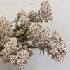 Degradado Rosa Blanco