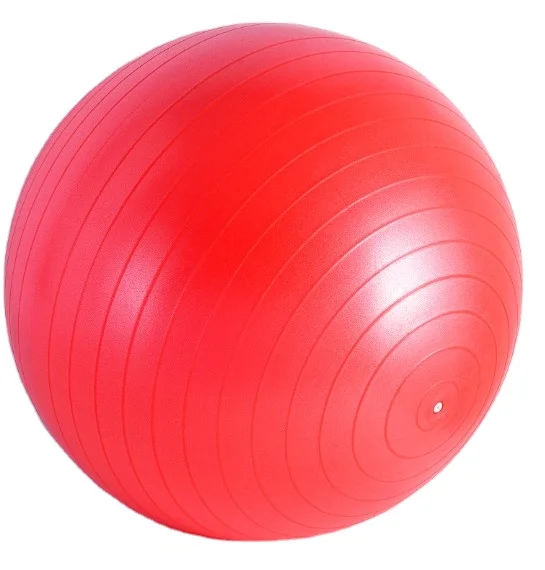 Factory Wholesale Hot Sale Customized Logo Anti-burst Design Made to Last Horse Toy High Quality Training