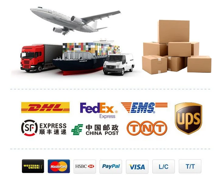 Pre Cut Food Grade Paper Siliconized Colored Baking Parchment Paper