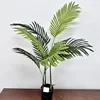 Palma de Areca de 2.5 pies