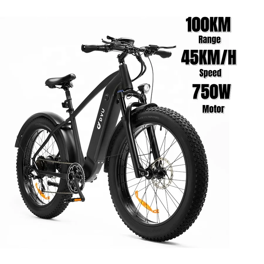 48V 750W Electric Mountain Bike Fast Durable E-bike