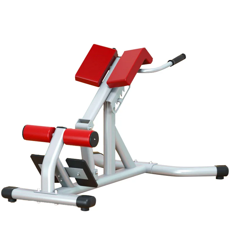 Adjustable Multi-Function Ab & Back Training Bench for Men and Women product detail 2