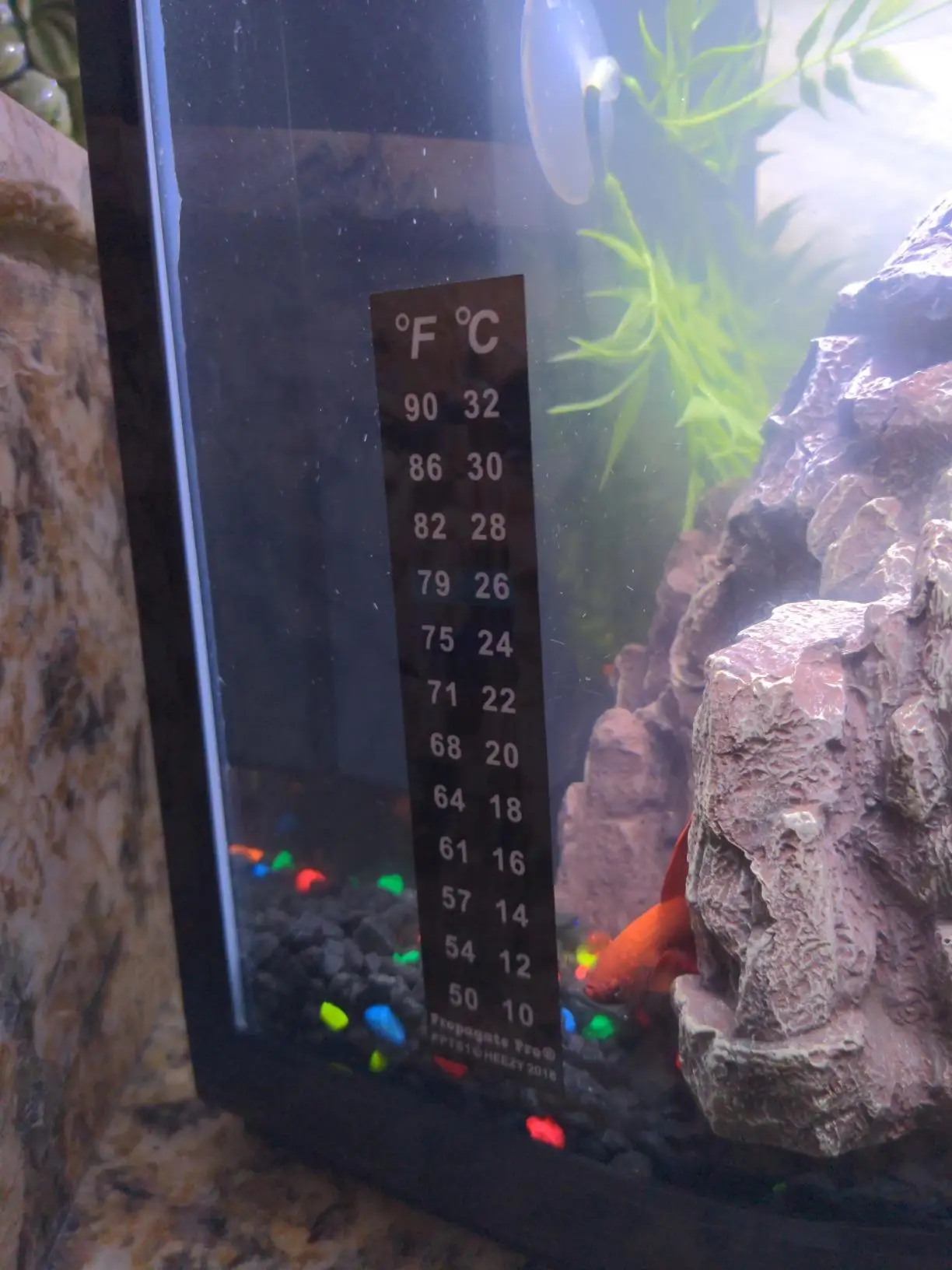 Color Changing Terrarium Temperature Sensitive Indicator Sticker Strip