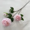 rosa chiaro