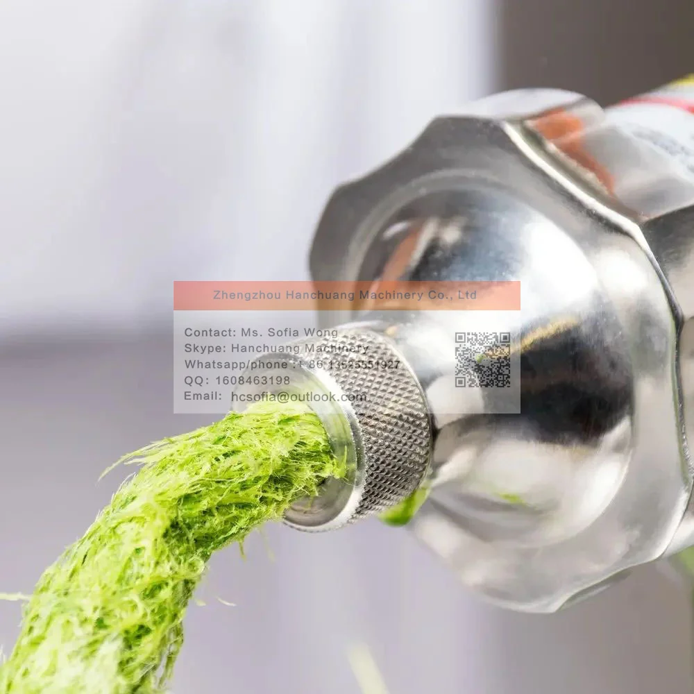 Small Wheatgrass Juice Extractor Tomato Potato Ginger Juicer Machine