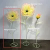 Poudre jaune - fleur simple - 60 cm