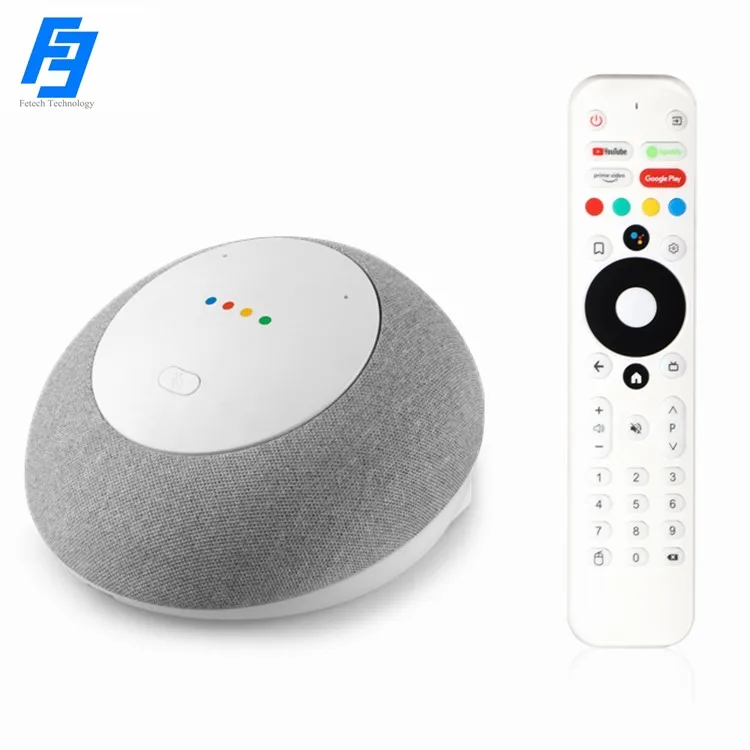 Smart Speaker Google Home Mi Box Mecool Homeplus KA1 DVB Smart
