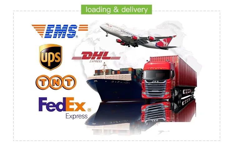 Economical Kind Factory Customized 60x60cm Puppy Pet Dogs Pee Pads Disposable Training Pad