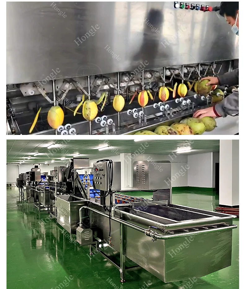 Orange Mango Automatic Peeling Machine details