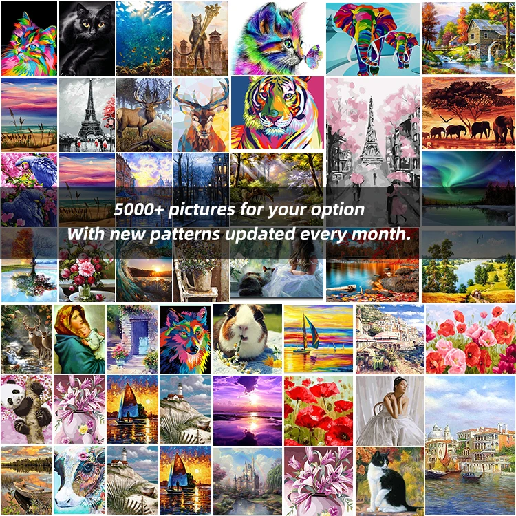 Diy 5d Full Diamond Painting Number Kit Art Craft Canvas - United