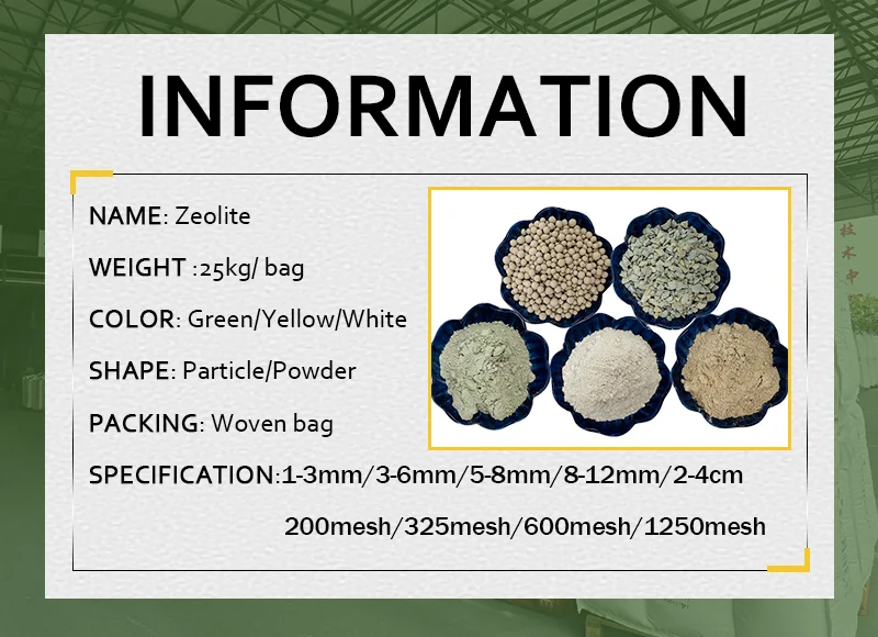 Manufacturer Supply 325 Mesh White/Green Natural Clinoptilolite Zeolite Powder Price For Water Filter details