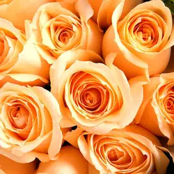 Красивый стильный и привлекательный Быстросохнущий безопасный ингредиент Privater для тела Хайлайтер волос Блестящий мерцающий