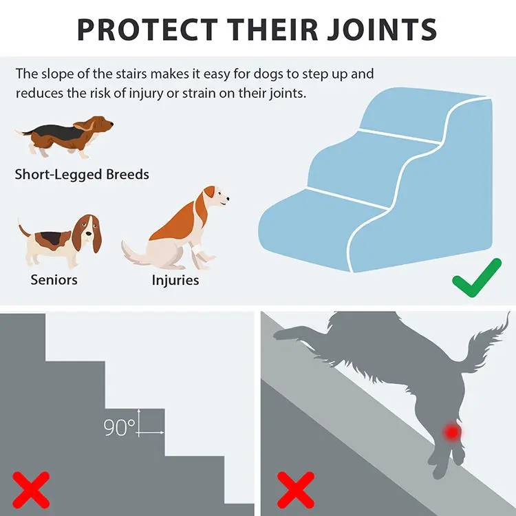 dog stair.jpg