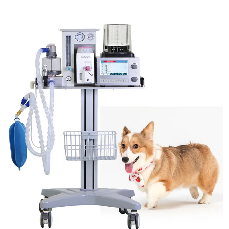 Medical veterinary gas anesthesia machine vet anesthesia equipments for pet cat dog Animal