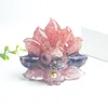 colorful No. 1 Watermelon Crystal + Amethyst +