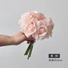 Champagne