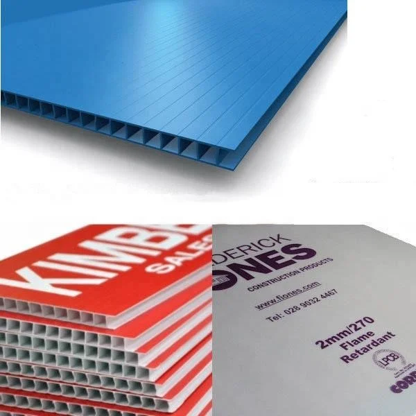 Translucent Polypropylene Plastic Cartonal Sheet PP Corrugated Board Plastic Cardboard Sheet 48x96 Twin Wall Polycarbonate Sheet