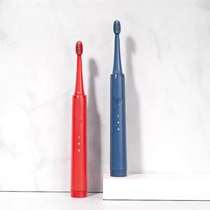 Battery-Operated Sonic Electric Toothbrush Manufacture Low Price Battery Electronic Toothbrush