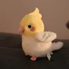 Loro adulto ZC [parado en el hombro]