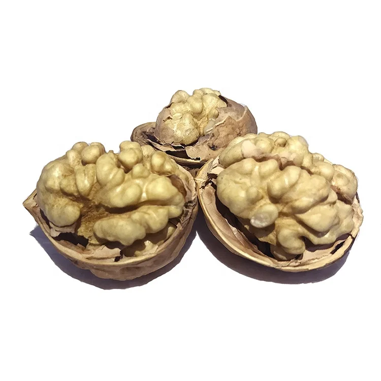 
dried fruit kabuklu ceviz walnut kernel walnuts 