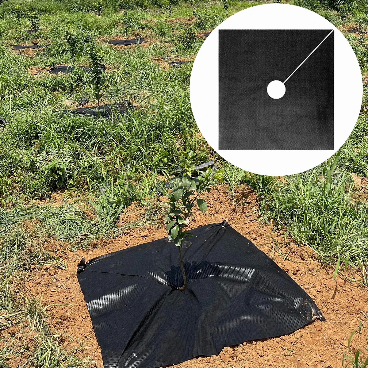 Durable Breathable Plant Weed Mat Non Woven Fabric Landscape Fabric Square With Circle Hole Punched for Tree Planting Weed Mat