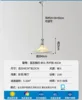 1-Head Pendant Rod