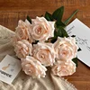 #8 Champagne rosa