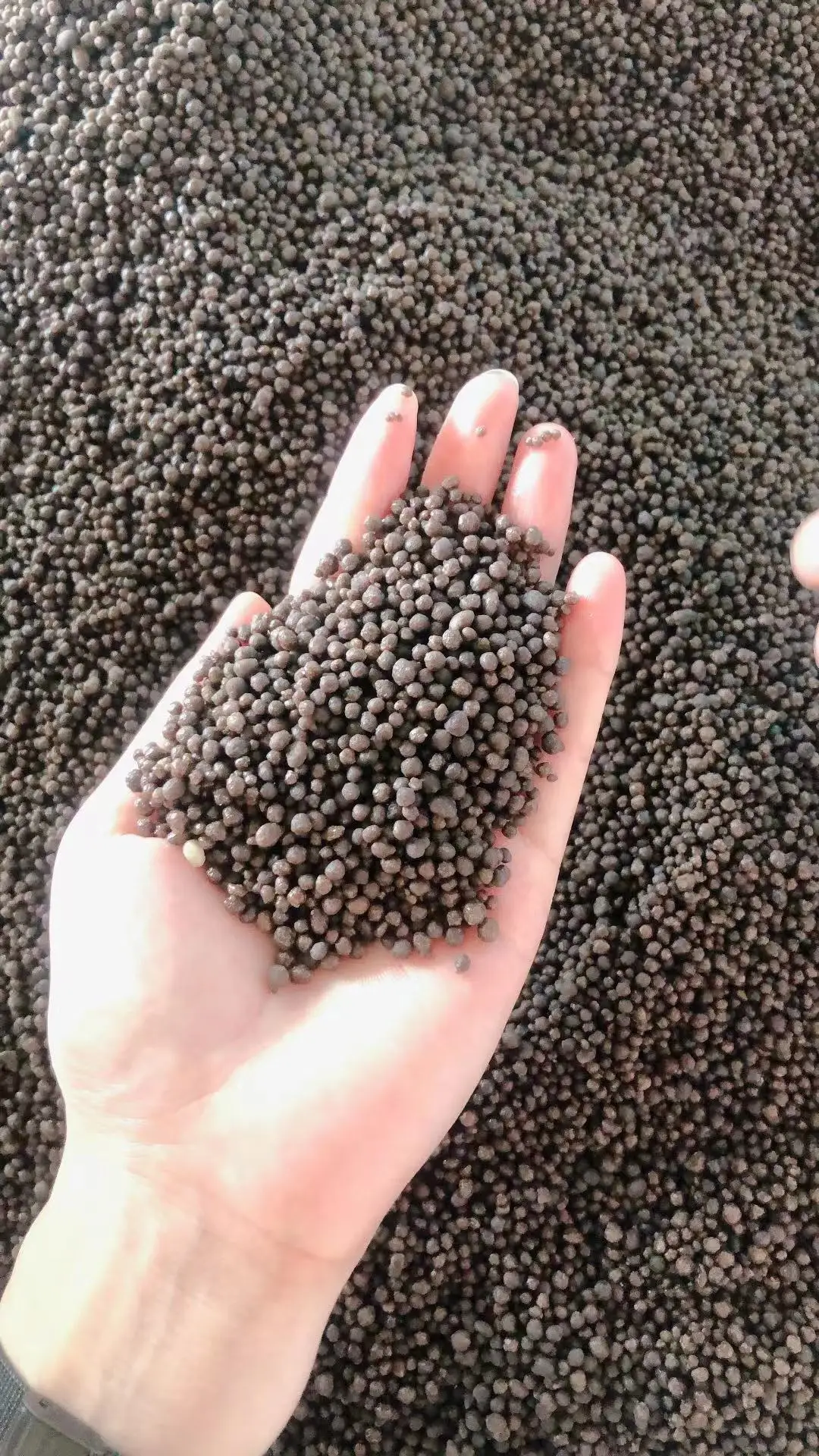 Shop High quality and good price diammonium phosphate DAP 18-46-0 fertilizer granules-Detailed Image 1