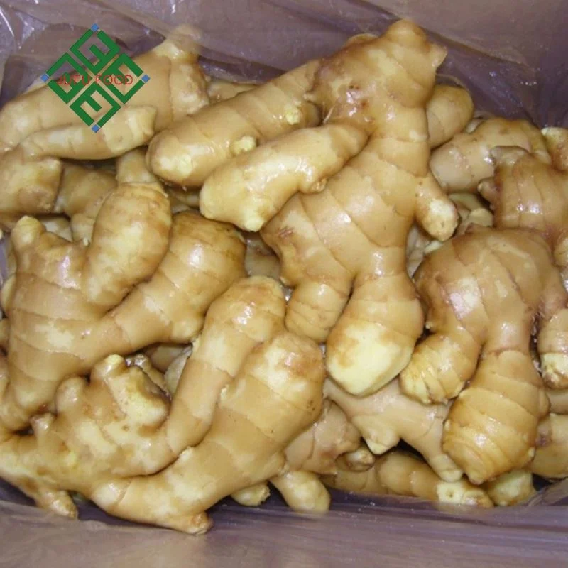 Carton Package Ginger Varieties of Fresh Ginger