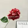 Bella's Hydrangea