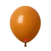 S92 camel balloon