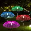 สีขาว
