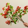Effetto rosso dell'immagine 3