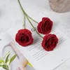 rama roja