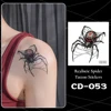 CD-053