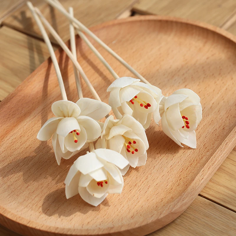 True Scent Reed Diffuser Flower Aromas Sola Wood Flower Sola Flowers Diffuser With Rattan Diffuser Sticks