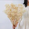 Beige 120 g 50-60 cm