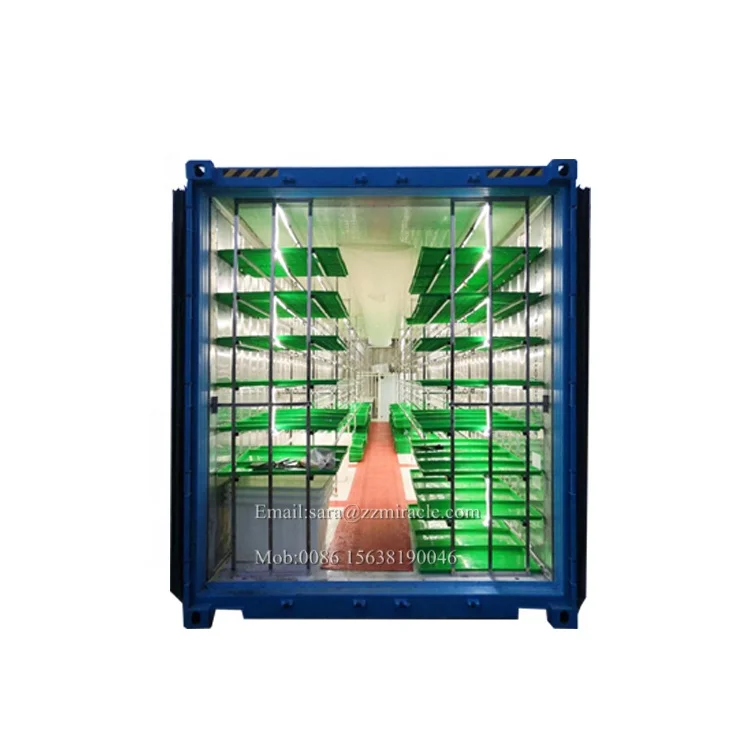 PLC Control Livestocks Hydroponics Fodder Growing Room to Produce Cow Green Feed