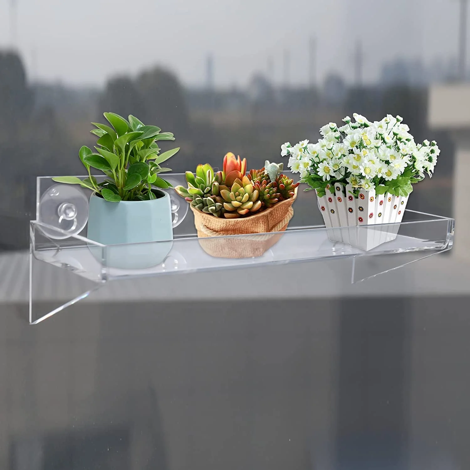 Großhandel Pflanzen regal Fenster Saugnapf Rahmen Geeignet für Blumen pflanze Acryl Badezimmer Regal| Alibaba.com