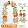 26-head autumn maple vines - L [2m]
