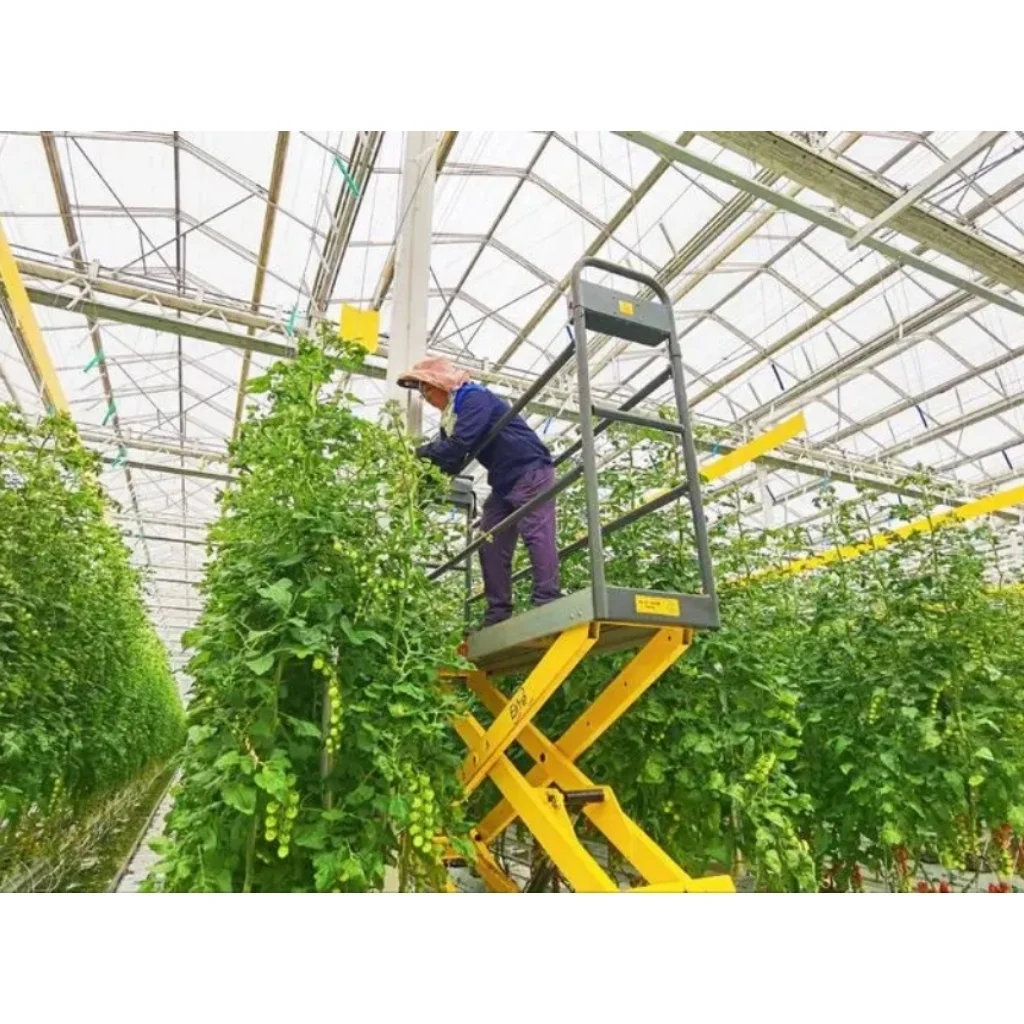 Пассивная тепличная туннельная теплица на продажу