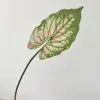 Dark green with pink dots