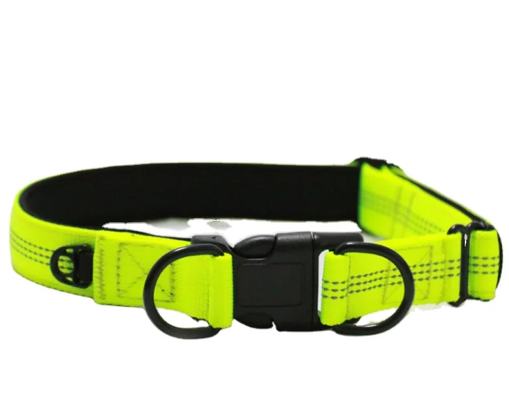 glow dark dog collars