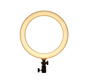Godox LR120 LED Ring Light Annular Lamp Bi-color 3000K-6000K Ring Lamps for Video YouTube Ringlight Makeup Light detail image