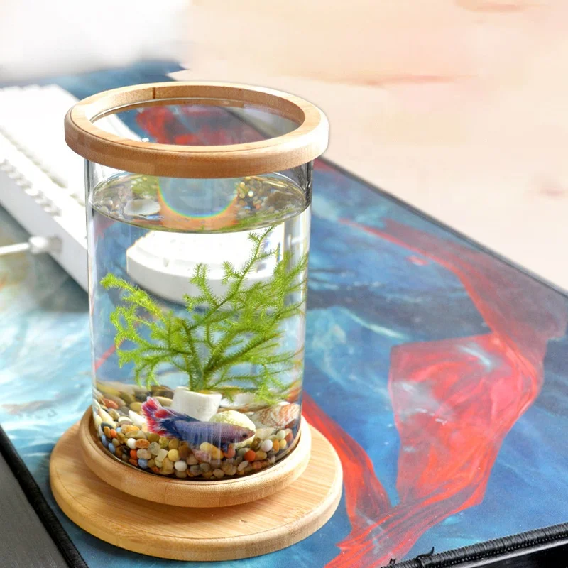 Desktop Aquariums & Accessories